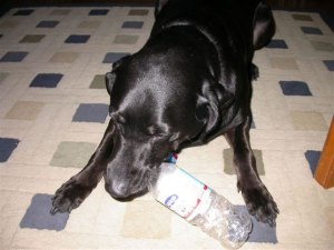 2005 Dec Party Pic31