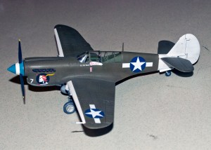 2015 Jul Meeting P-40N 49th FG