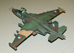 2014 Mar Meeting DSC_6673