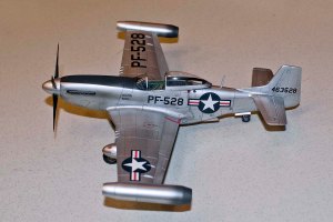 2015 Jun Meeting Pic22